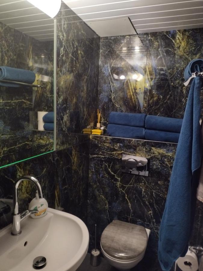 Spacieux Studio 38M2 Les Paccots エクステリア 写真